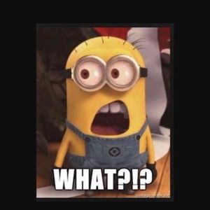 Meet your Posher, Monte